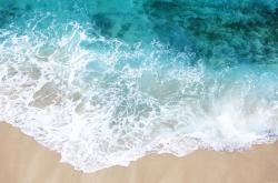 -科技流刺客，范弗利特用手术刀般的杀伤艺术，助骑士完成对鹈鹕的体系性横扫