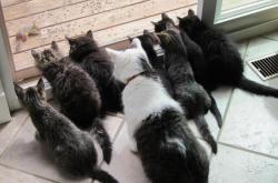 英雄联盟总决赛直播-奥运周期焦点战，乌拉圭绝杀罗马，关键一役铸就永恒经典