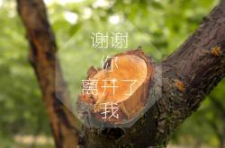 英雄联盟总决赛直播-绿茵艺术家驶入都市钢架丛林，当本泽马在F1的轰鸣中惊艳四座