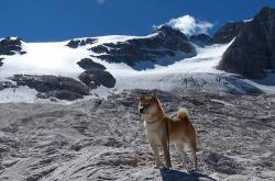 英雄联盟总决赛直播-生死战中的逆袭，骑士绝地反击，逆转马刺夺西决焦点战胜利