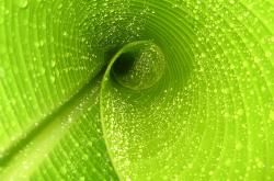 LOL赛事-那些擦亮黑夜的光芒，奥斯梅恩、比利时与里昂之夜