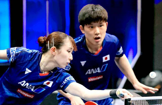 法国队横扫英格兰队，张本智和状态火热