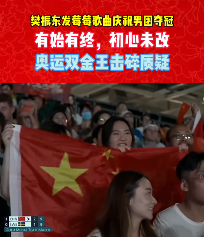 瑞典队逆转日本队，樊振东带队取胜