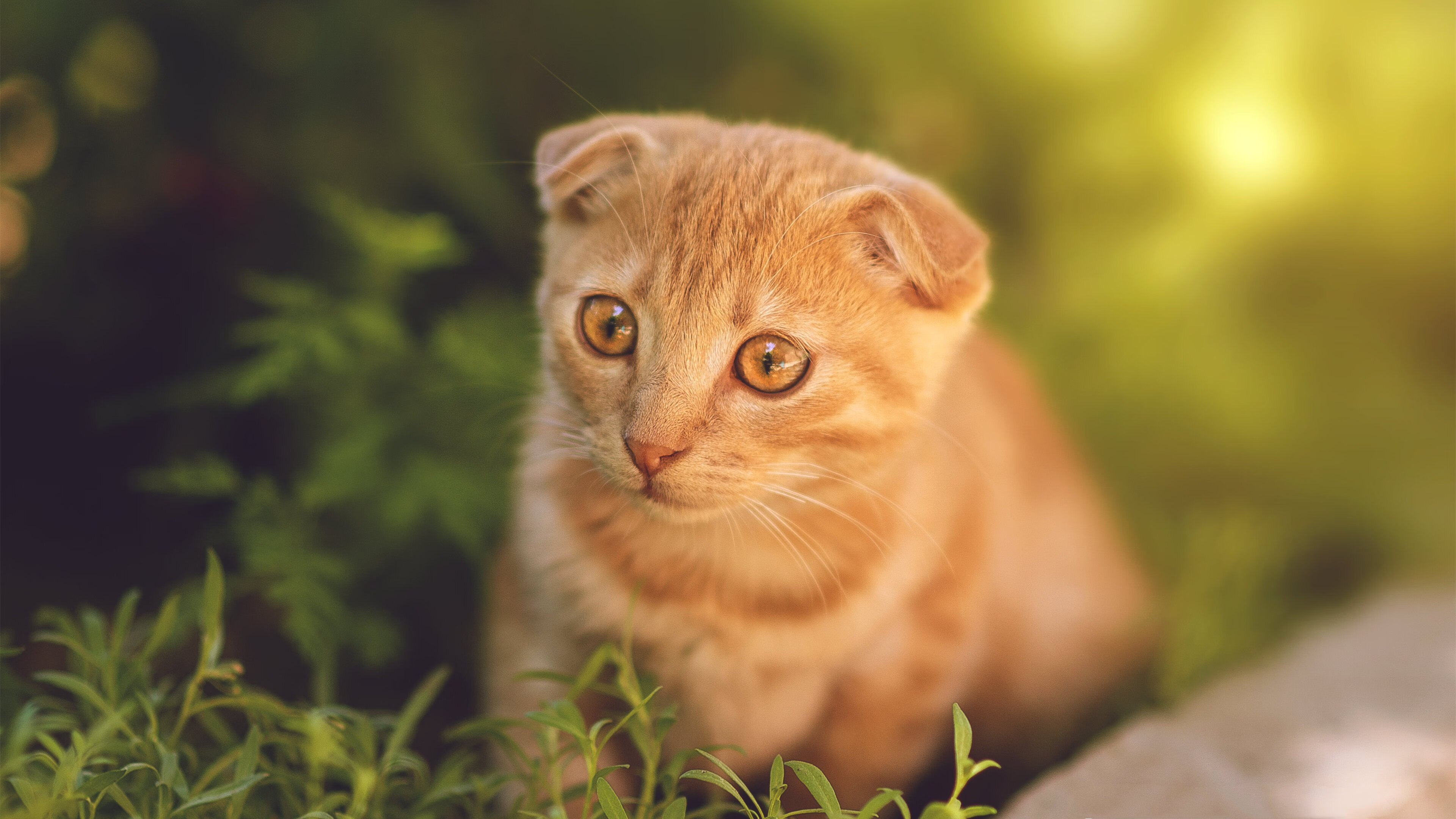 当唯一跨越山海，国家德比的绝杀与哈登的制胜球，在同一个夜晚轰鸣