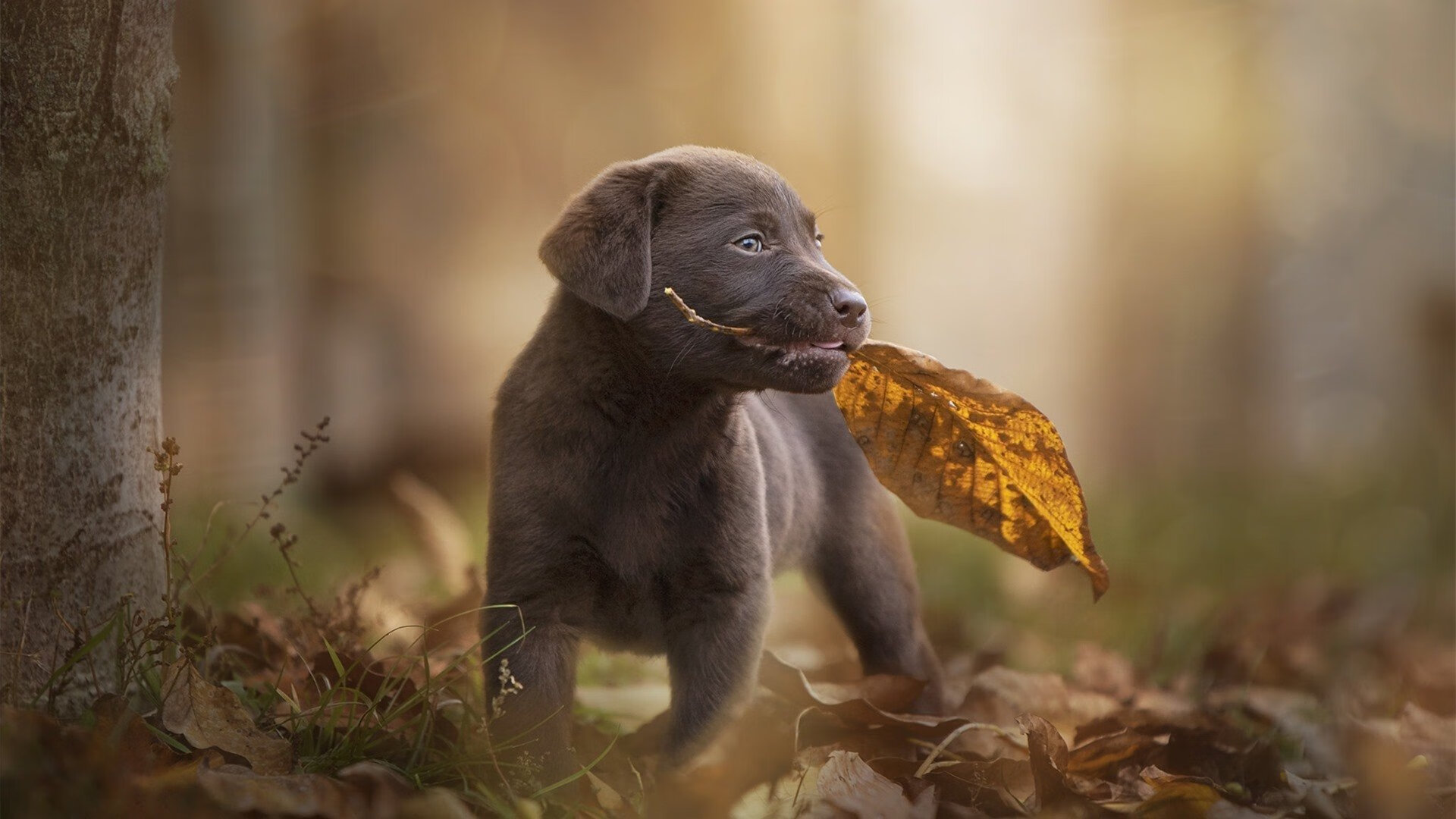 隔空对话，上海的团队呐喊与金州的个人诗篇