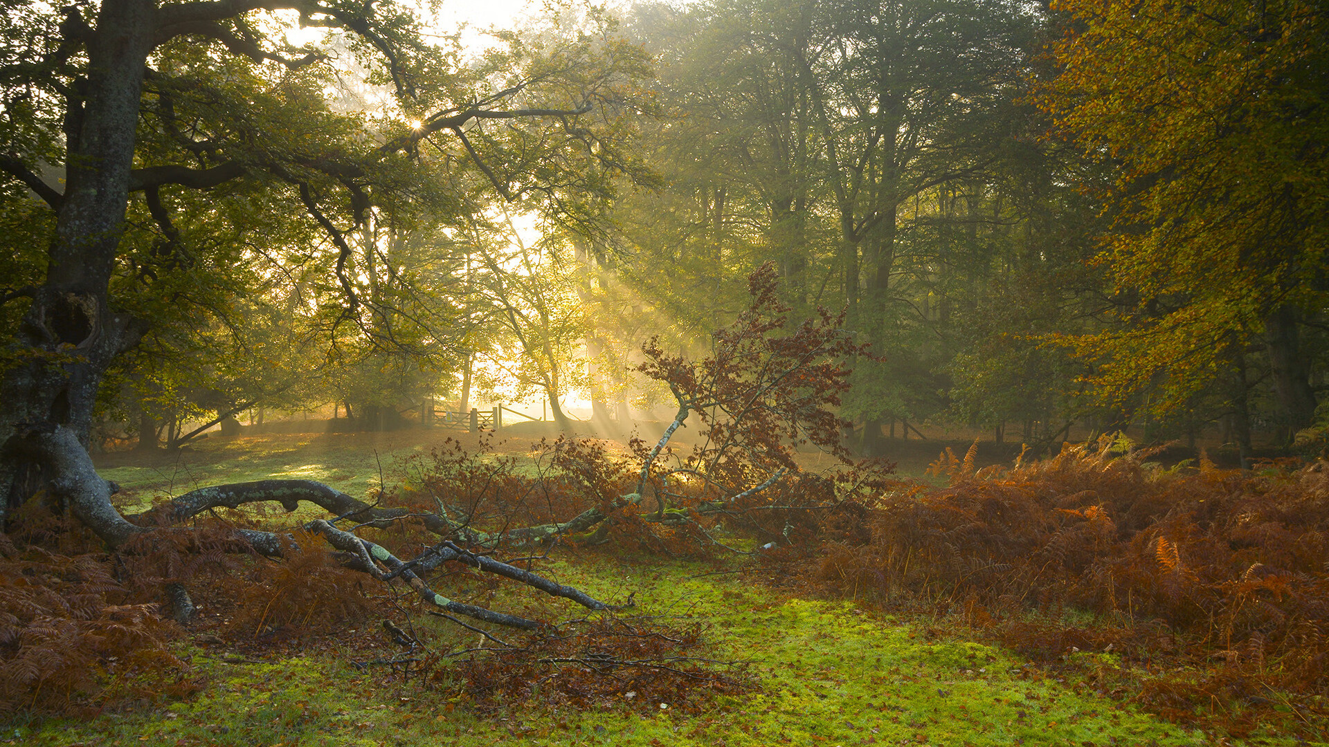 平庸的伟大，勒布朗·詹姆斯最平凡的关键之夜