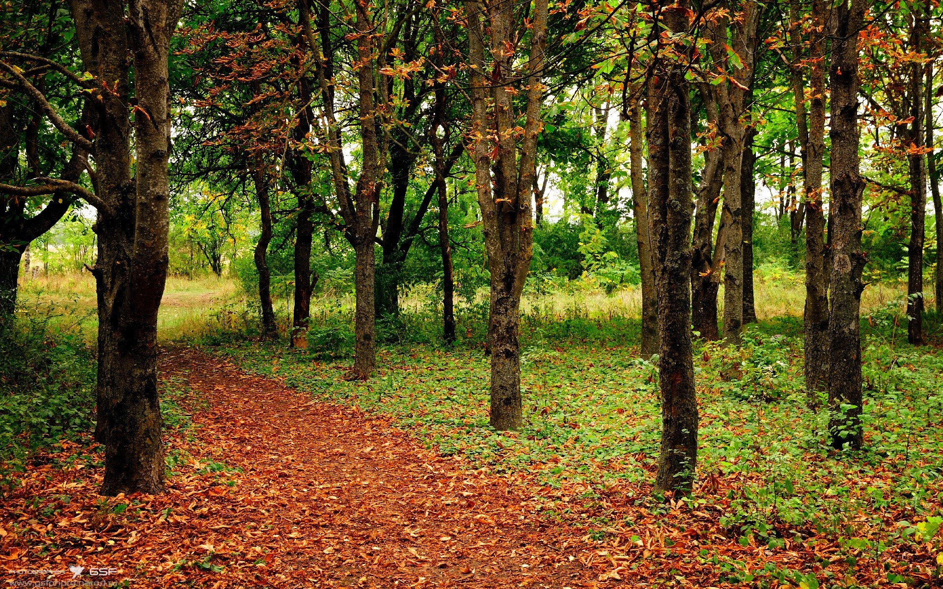 巴黎铁骑提前问鼎,三笘薰过弯超车在F1赛道演绎终极接管