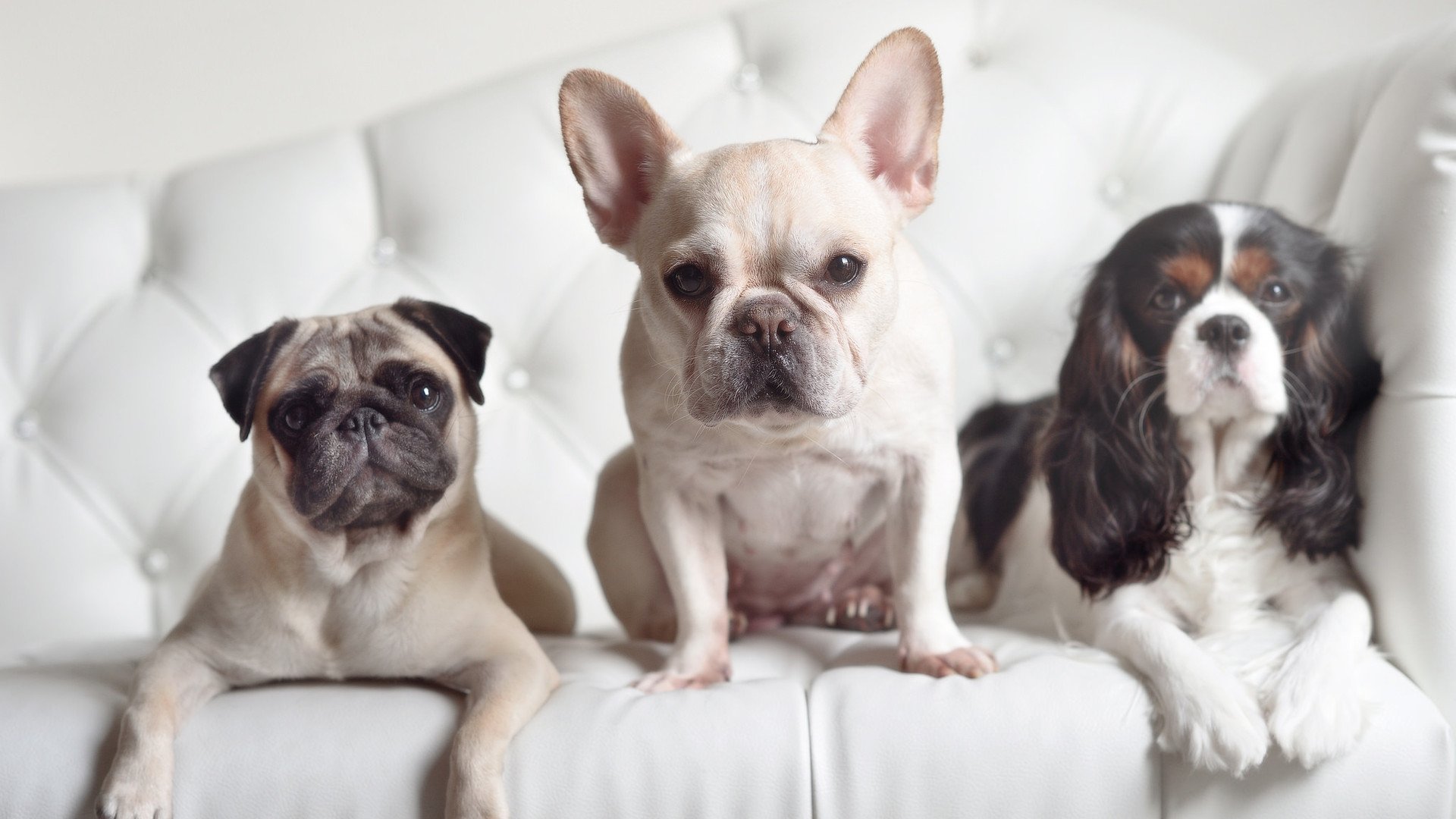 史上首次！魔术魔法破解辽宁重剑，世界排名争夺战现惊天变局