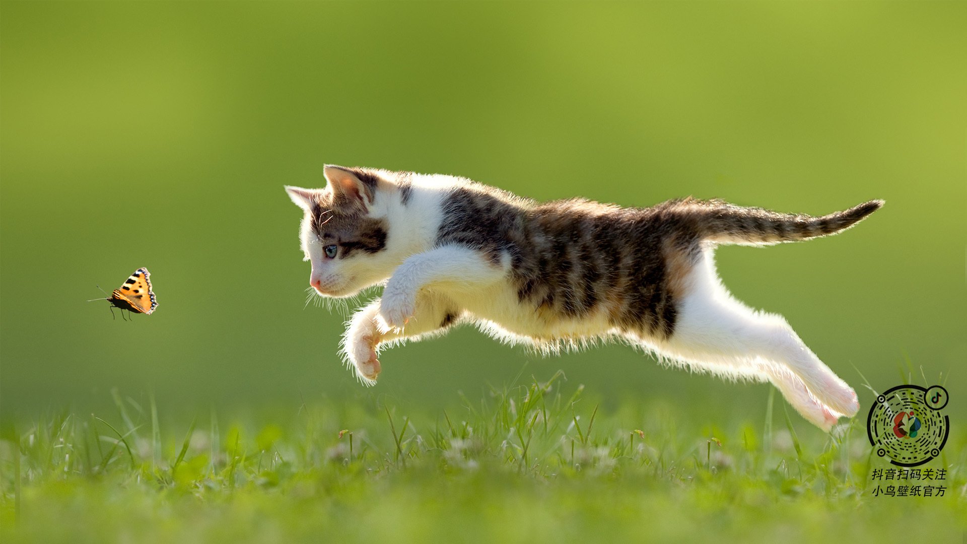 雄鹿篮网鏖战未熄，莫兰特已在云端重设评分纬度