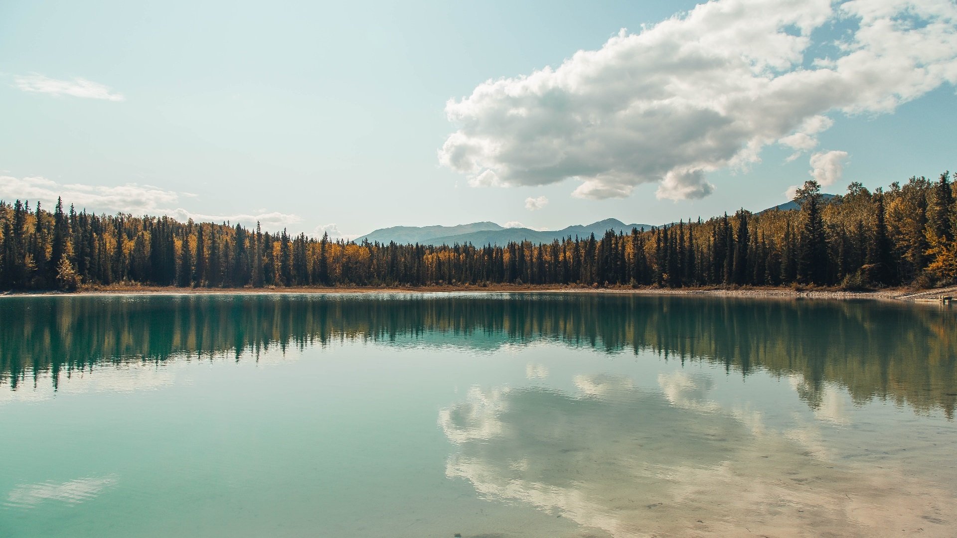 三双掀翻航天城！拉梅洛·鲍尔赛后评分拉满，鹈鹕客场力克火箭