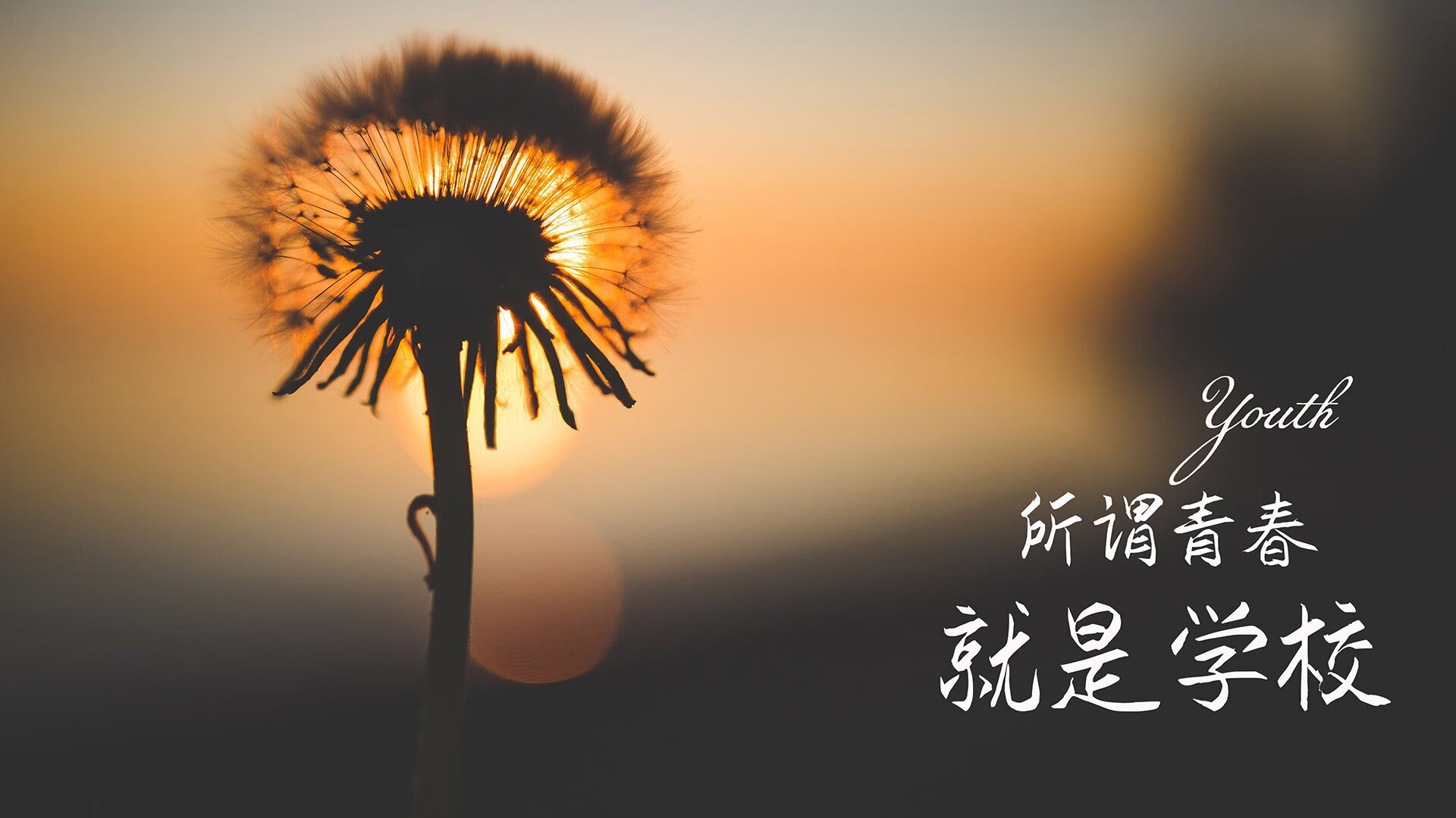 封神夜，世界排名争夺战中，莱万用一场史诗级屠榜轰碎所有质疑