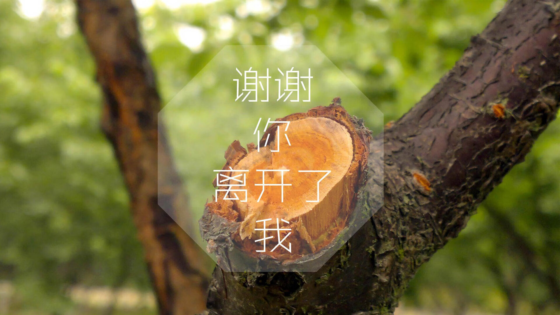 沙漠之鹰啄伤天蓝军团,2026世界杯F组,伊拉克爆冷力克乌拉圭,贝林厄姆导演逆转神剧