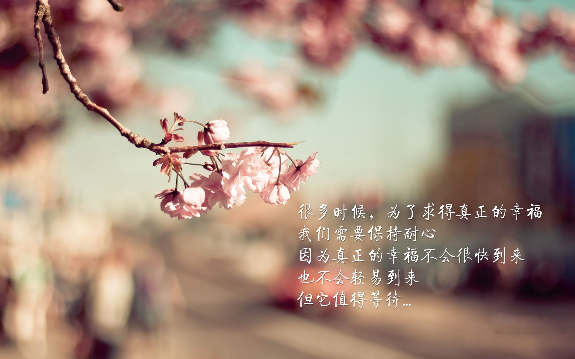 迦太基之鹰刺穿印度洋，卢卡库铸剑，突尼斯在2026世界杯H组写下一行铁与血的绝唱